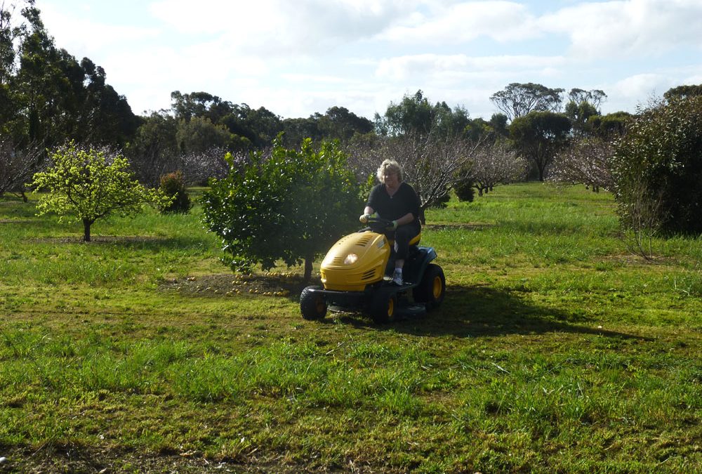 Mowing a Twelve Acre Orchard Can Be Fun