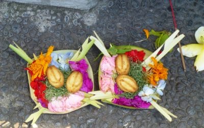 Bali Daily Offerings