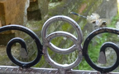 Dragonfly on Shrine Gate