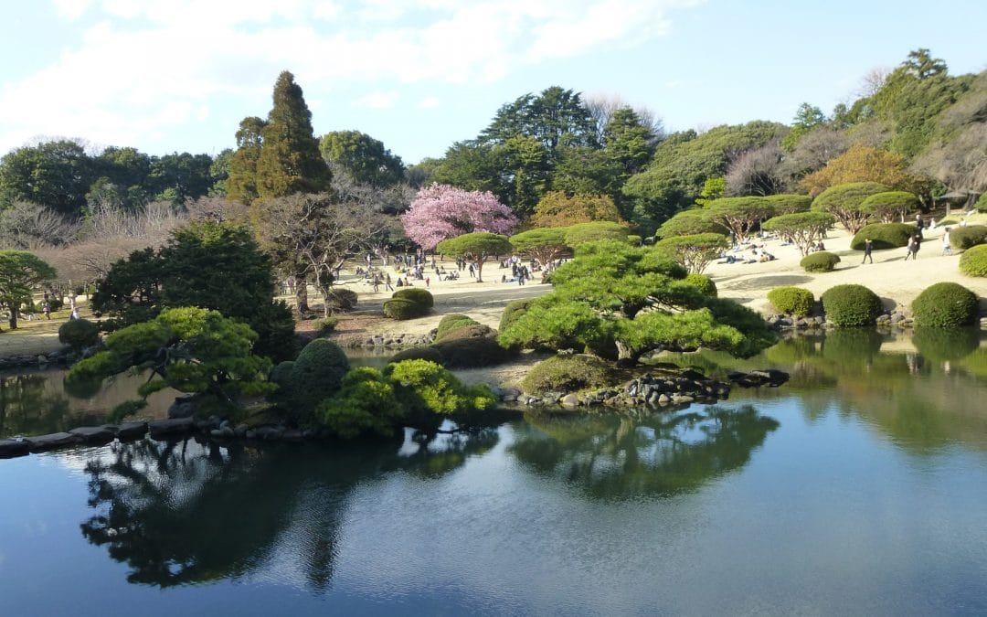 Shinjuku Gyoen National Garden, Tokyo, Japan