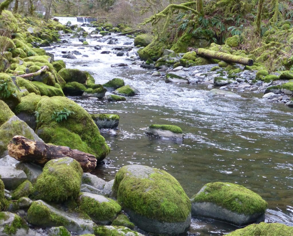 Columbia River Gorge, Portland, OR