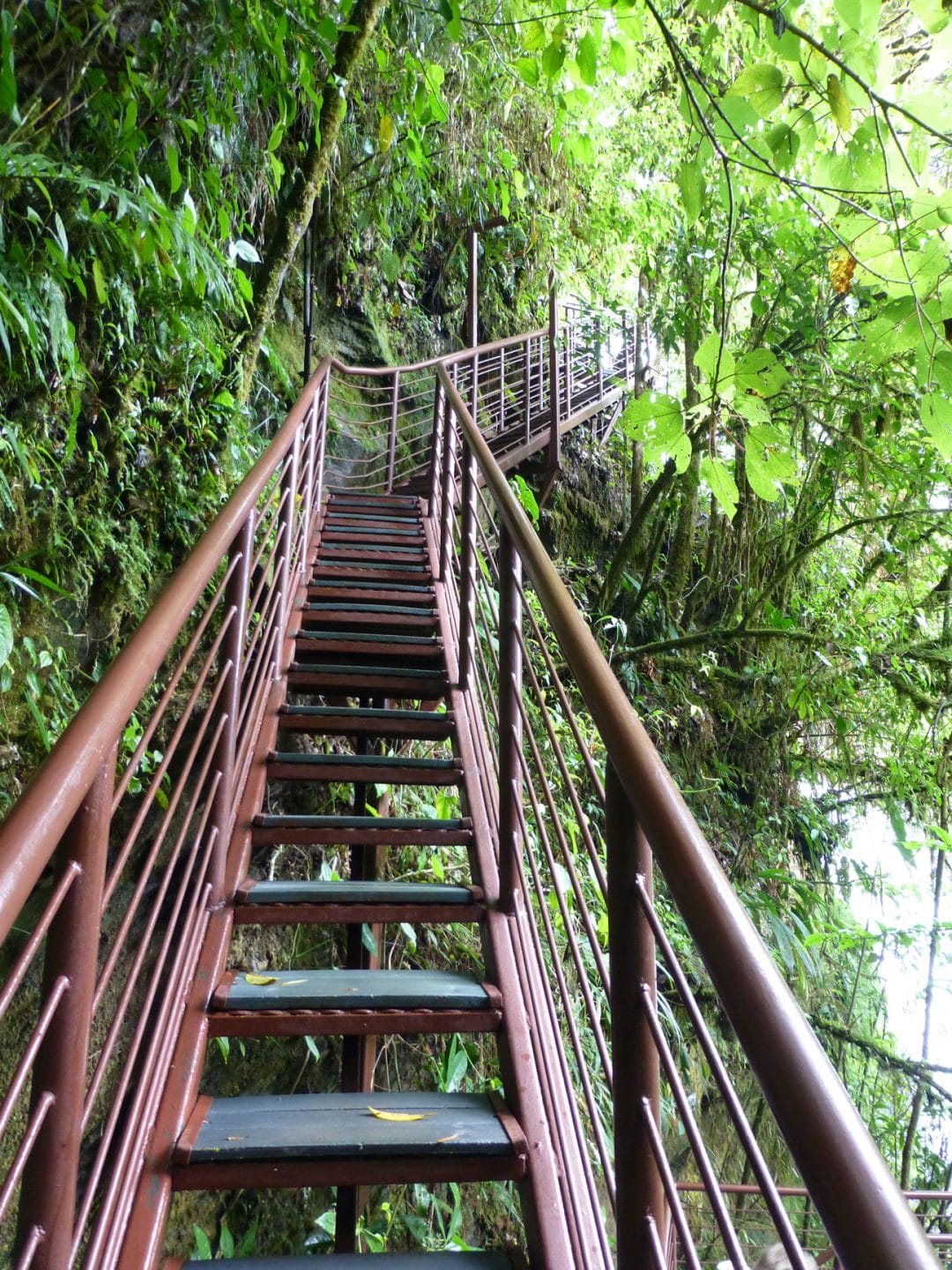 Visiting La Paz Waterfall Gardens Costa Rica Joyful Journeying