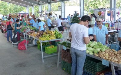 Eating In and Dining Out in Costa Rica