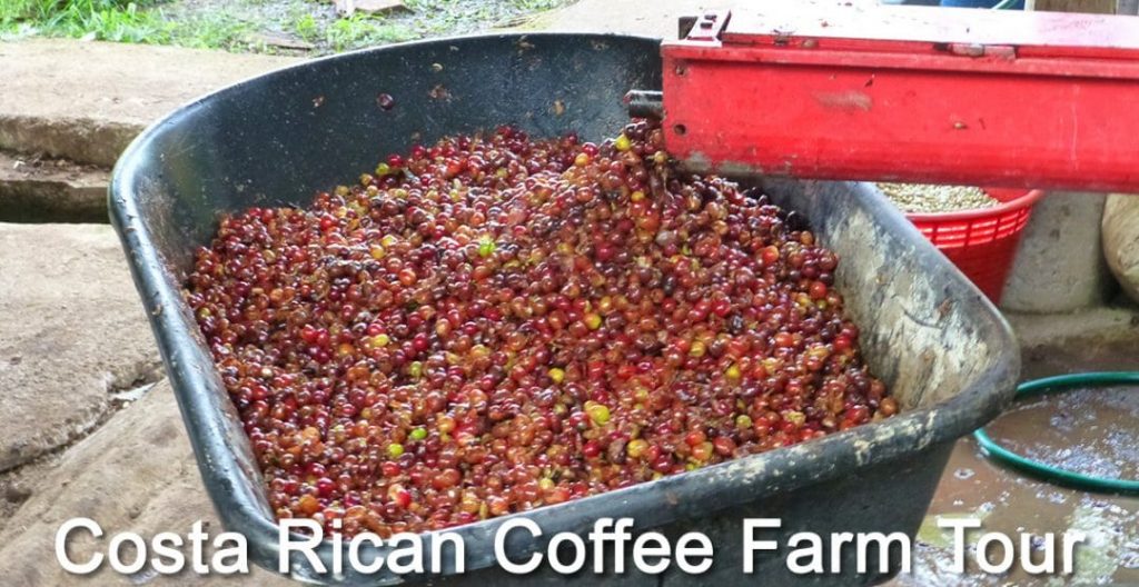 Costa Rica Coffee Farm Tour