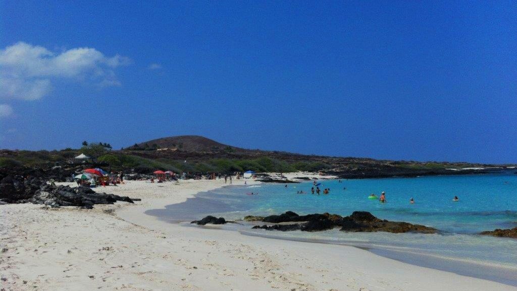 Avoiding-Jellyfish-Stings-in-Hawaii