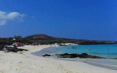 Avoiding Jellyfish Stings While Snorkeling